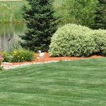 Residential Casselberry Landscaping Done Right