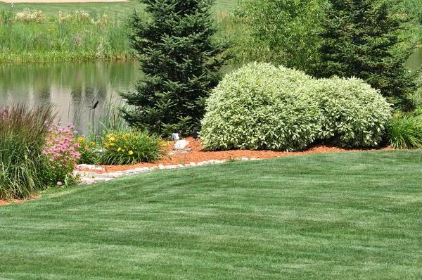 Residential Casselberry Landscaping Done Right