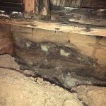 Best Crawlspace Waterproofing in Wilmington for Long-Lasting Protection