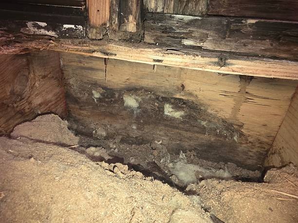 Best Crawlspace Waterproofing in Wilmington for Long-Lasting Protection